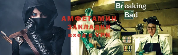 индика Надым