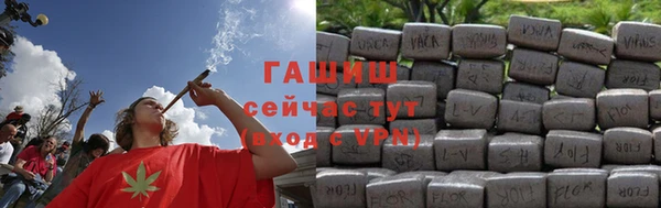 индика Надым