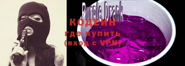 индика Надым
