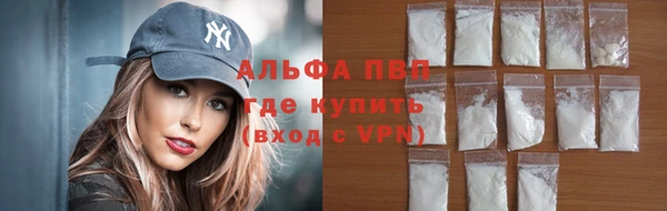 индика Надым