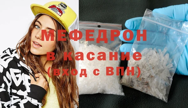 индика Надым
