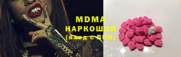 индика Надым