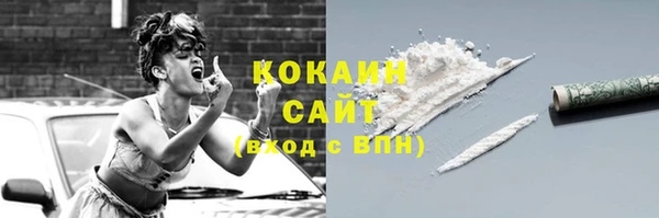 индика Надым