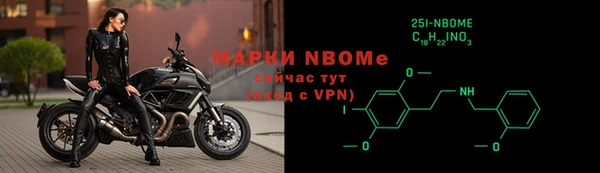 индика Надым