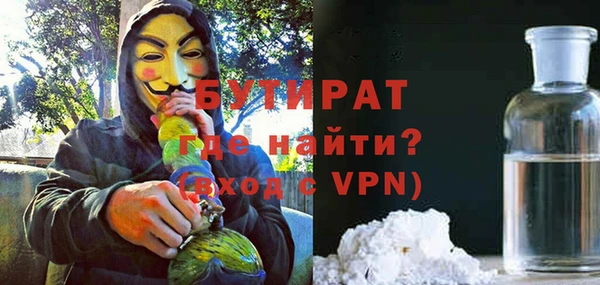 индика Надым