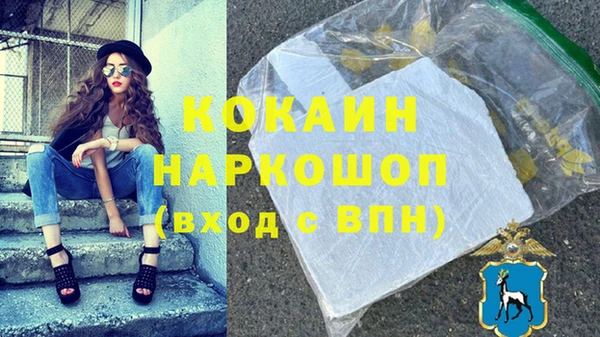 индика Надым