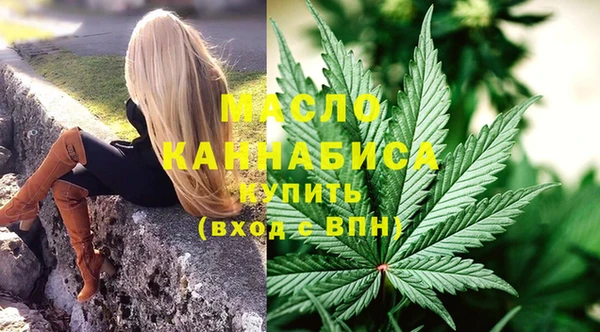 индика Надым