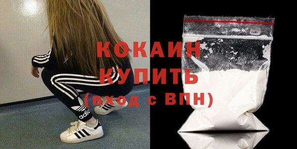 индика Надым