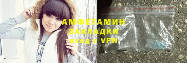 индика Надым