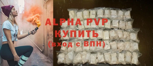 индика Надым