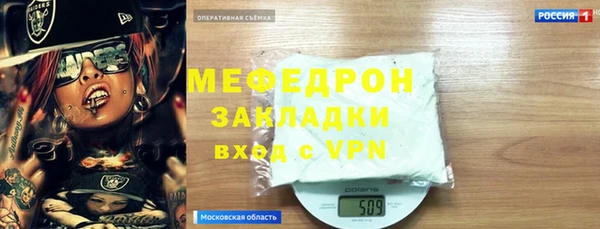 индика Надым