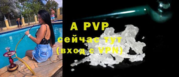 индика Надым