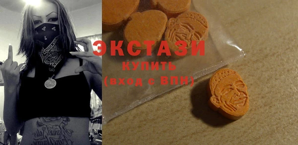 индика Надым