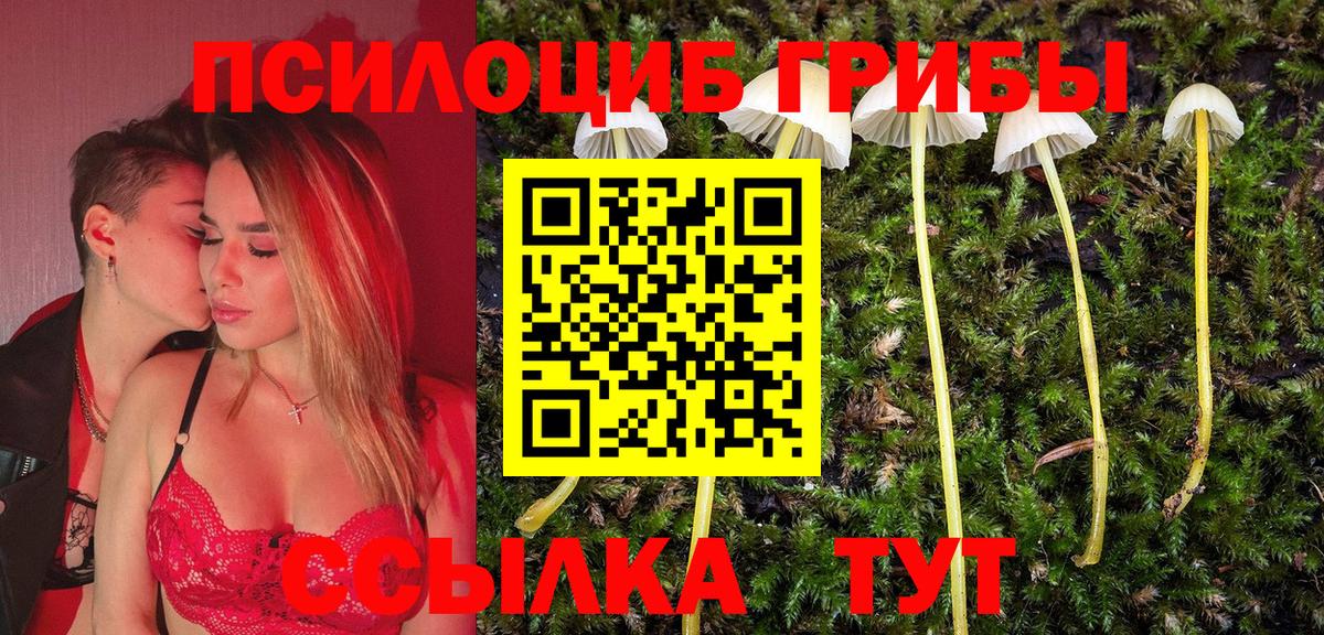 Псилоцибиновые грибы Cubensis Хабаровск
