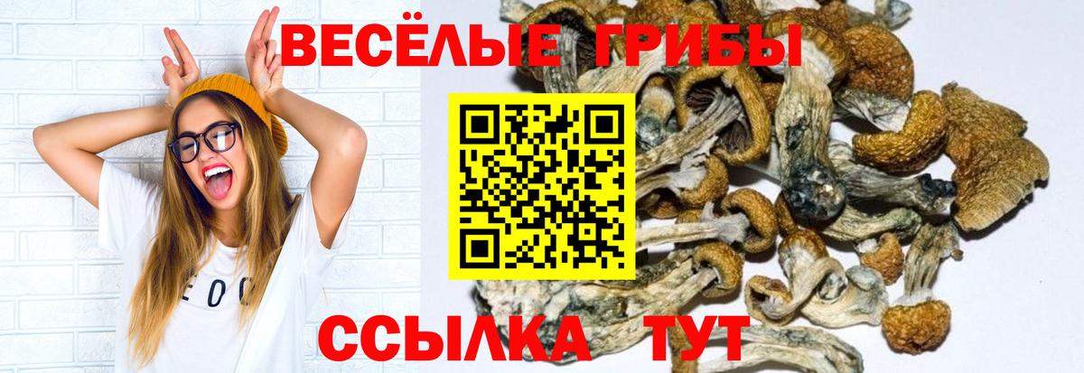 Псилоцибиновые грибы MAGIC MUSHROOMS  Вход с VPN  Хабаровск 